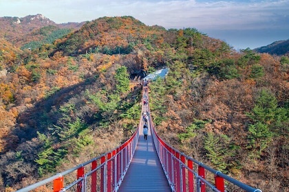 Full Day DMZ with Red Suspension Bridge Tour from Seoul