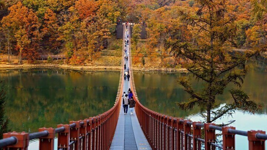 Full Day DMZ with Red Suspension Bridge Tour from Seoul