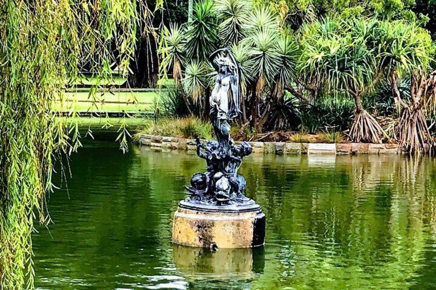 Venus, in the main pond, Botanic Gardens, Sydney