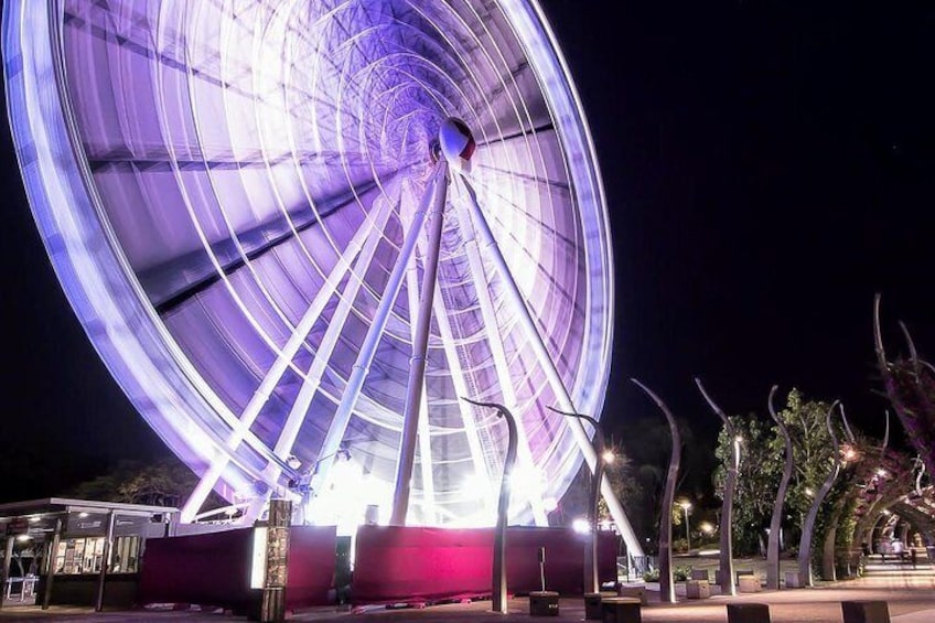 The Wheel of Brisbane in the wonderful South Bank parklands