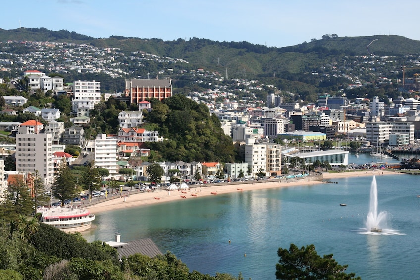 4-Day Auckland to Wellington via Rotorua Tour