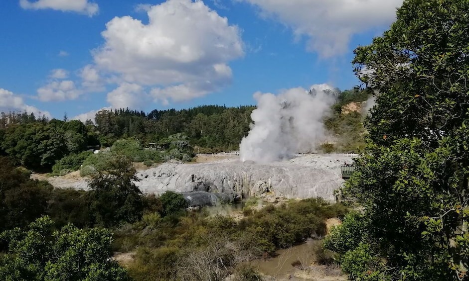 4-Day Auckland to Wellington via Rotorua Tour