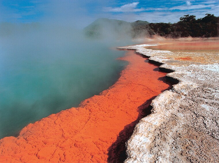 4-Day Wellington to Auckland via Rotorua Tour
