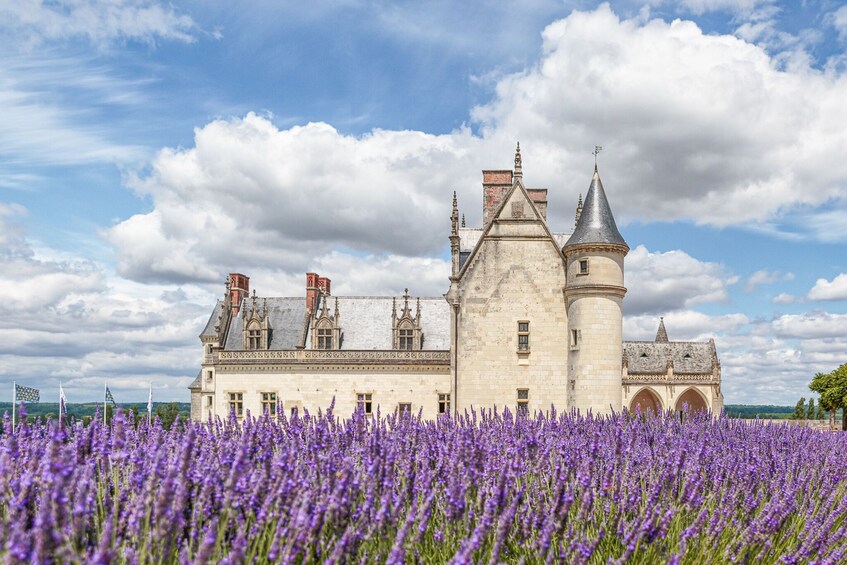 Château Royal d'Amboise Photography Tour and Masterclass