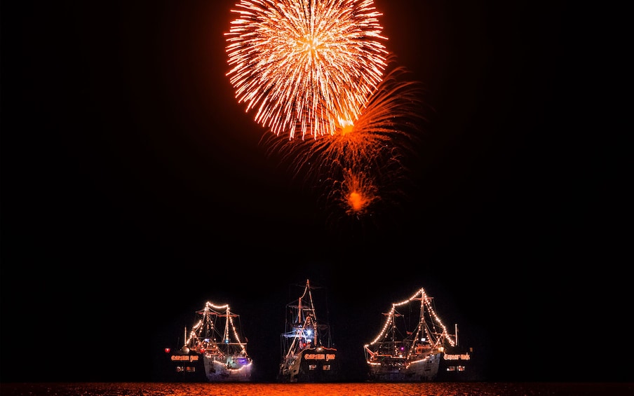 Captain Hook: Pirate Dinner & Show