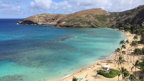 Tour di 9 ore di Grand Circle Island e Haleiwa