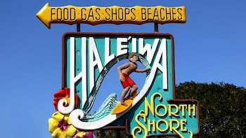 Deluxe Bus Grand Circle Island with Haleiwa