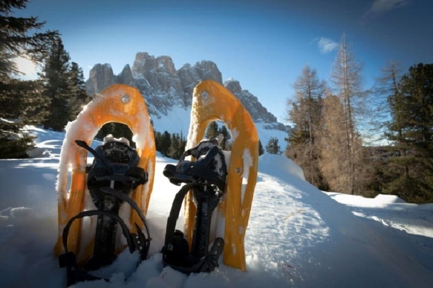 Show item 4 of 6. Snowshoeing In The Wonderful Dolomites - Private Experience