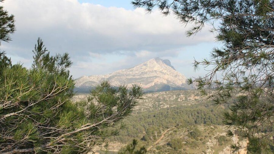 Cézanne Pathway : Wine and Art in Majestic Aix en Provence