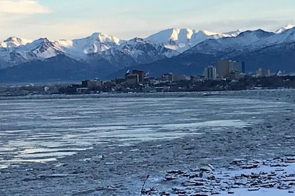Winter - Anchorage All Around City Tour