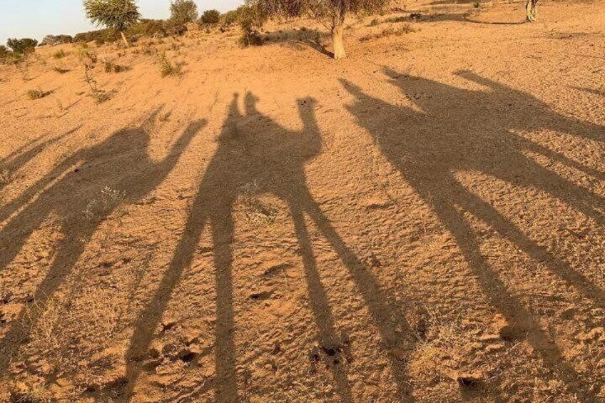 Desert Safari Half - Day Tour In Jodhpur