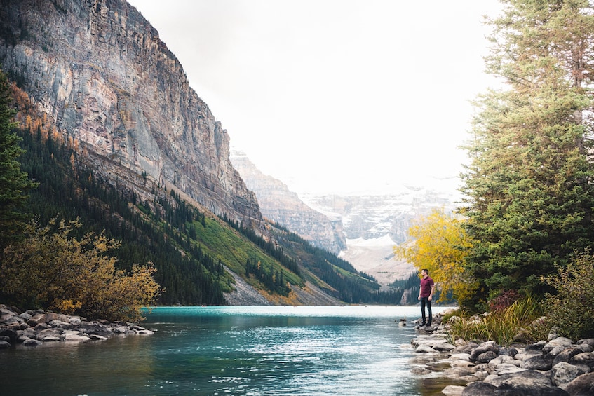 Discover Lake Louise (Fall Sightseeing)