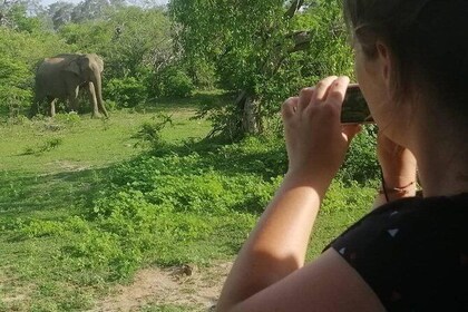 Paradise Yala Safari Tours