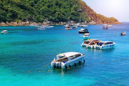 Phuket Coral Island Tour Half Day by Catamaran Yacht