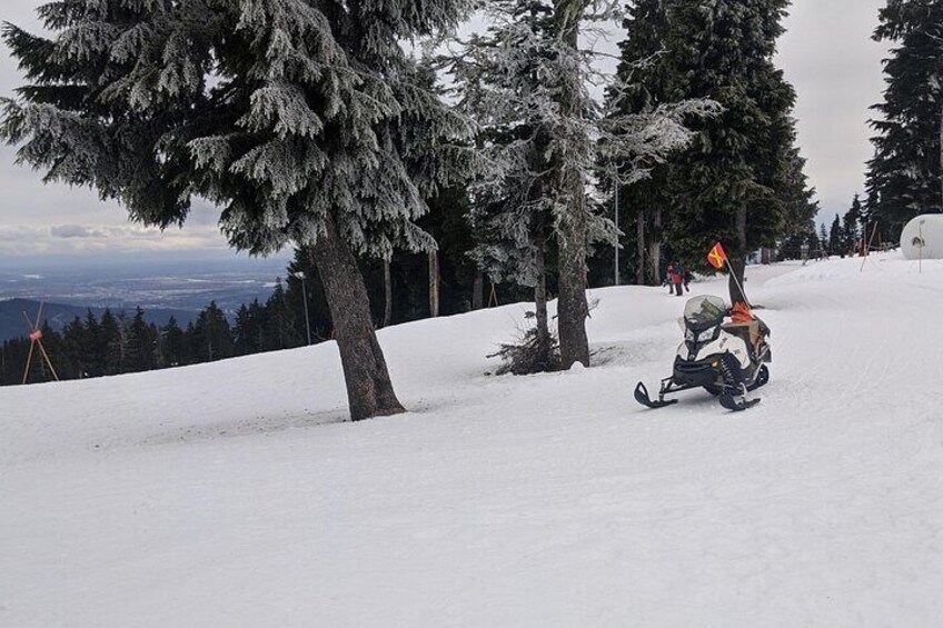 Mount Seymour