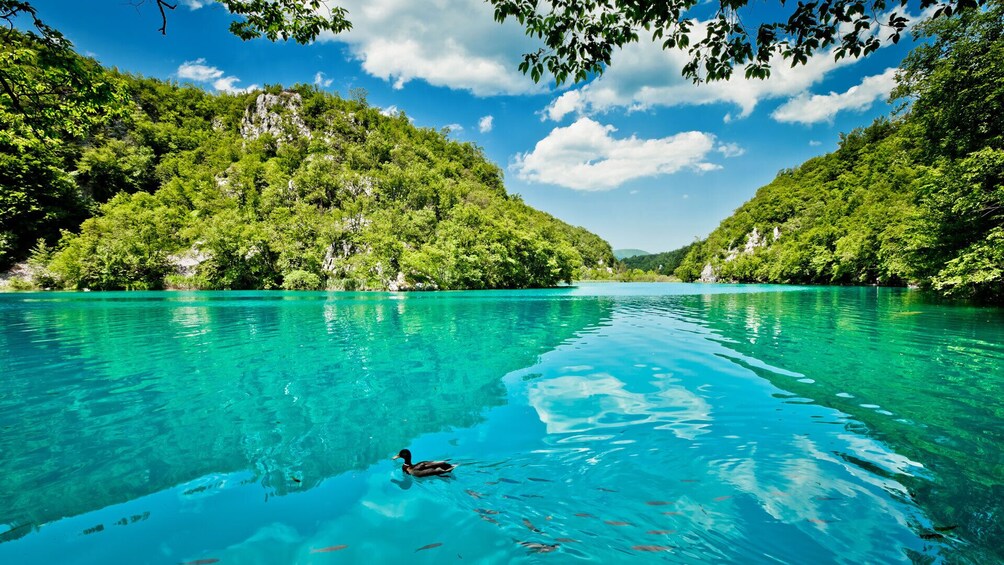 Split-Zagreb Small Group transfer with entrance to Plitvice