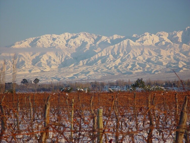 Best Uco Valley wine tour in Mendoza Argentina with Malbec paired lunch