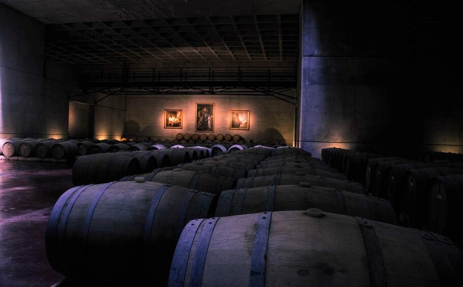 North Uco valley wine tour. Visit 3 wineries and enjoy lunch