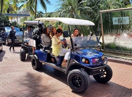 2 Hours Miami golf cart guide tour