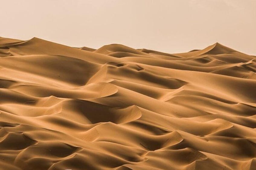 Liwa Desert Dune 