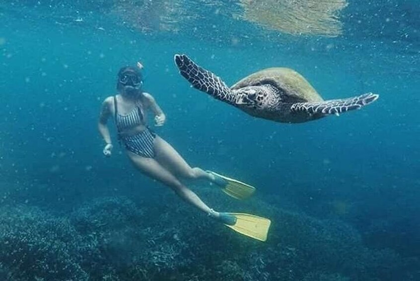 Pigeon Island National Snorkeling Tour 