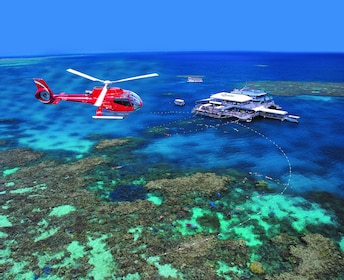 Port Douglas Fly and Cruise Reef Tour