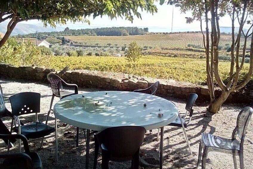 WINE SAFARI in Douro Valley w/picnic, Winery visit and tasting