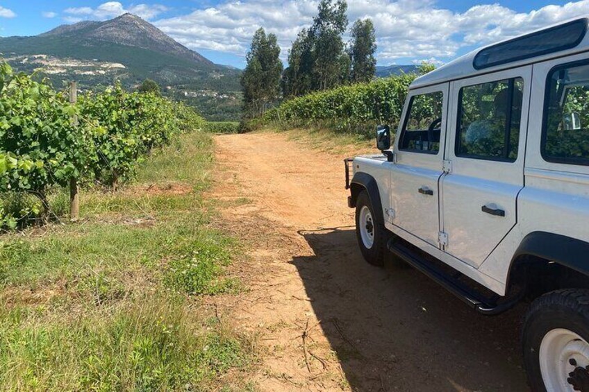 WINE SAFARI in Douro Valley w/picnic, Winery visit and tasting