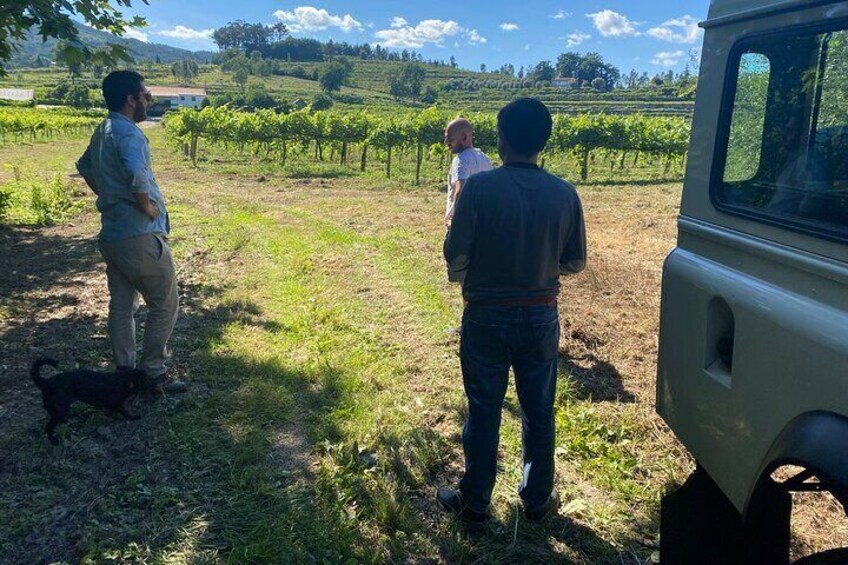 WINE SAFARI in Douro Valley w/picnic, Winery visit and tasting