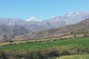MAJESTIC ANDES & ALTITUDE WINES