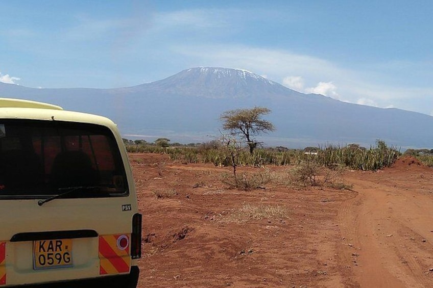 Amboseli Park & Kilimanjaro views Day tour