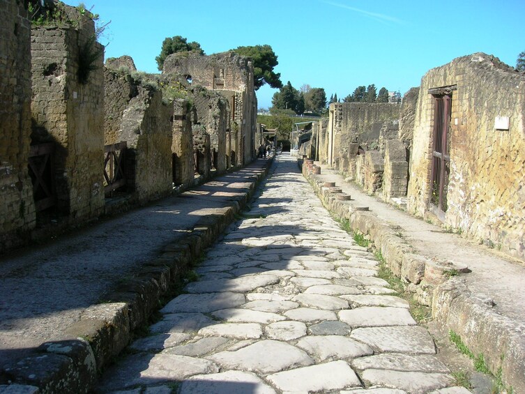 Pompeii, Herculaneum & Vesuvius Drive Tour from Naples