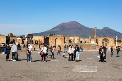 Pompeii & Herculaneum Day Trip from Naples