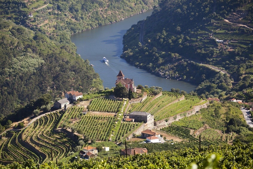 douro valley wine tour viator