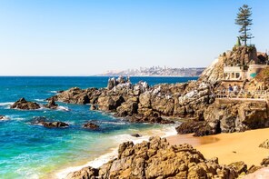 Valparaíso - Viña del Mar Private Tour