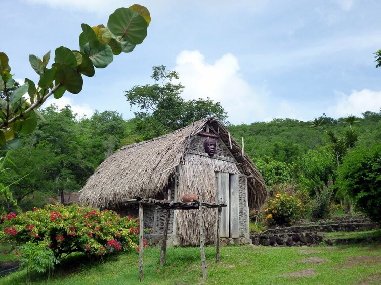 Show item 1 of 6. Historical South Caribbean Private Tour