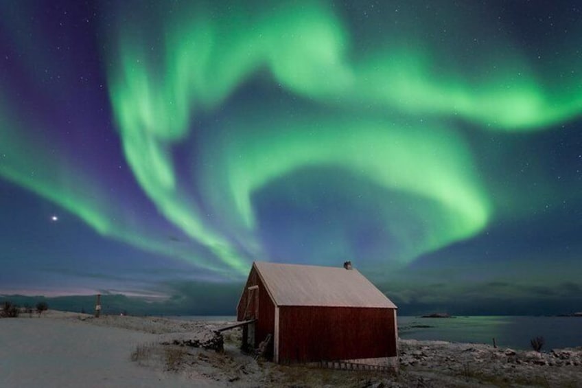 Northern Lights Hunt Including Snacks on Campfire from Levi