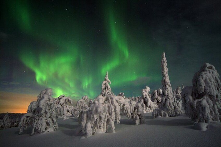 Northern Lights Hunt Including Snacks on Campfire from Levi