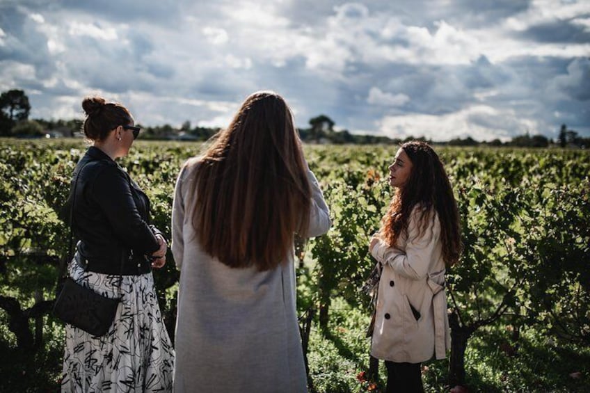 St-Emilion & Médoc Combine Day Tour including Wine Tastings and Lunch