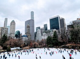 Central Park Ice Skating + Walking Tour Package