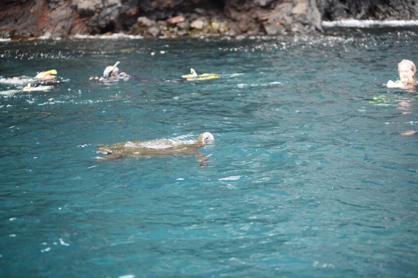 6-Day Galapagos Islands plus Bike, Kayak, Hike, Snorkel