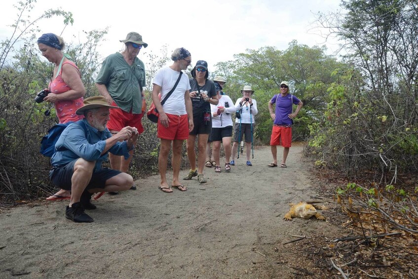 Show item 4 of 7. 6-Day Galapagos Islands plus Bike, Kayak, Hike, Snorkel