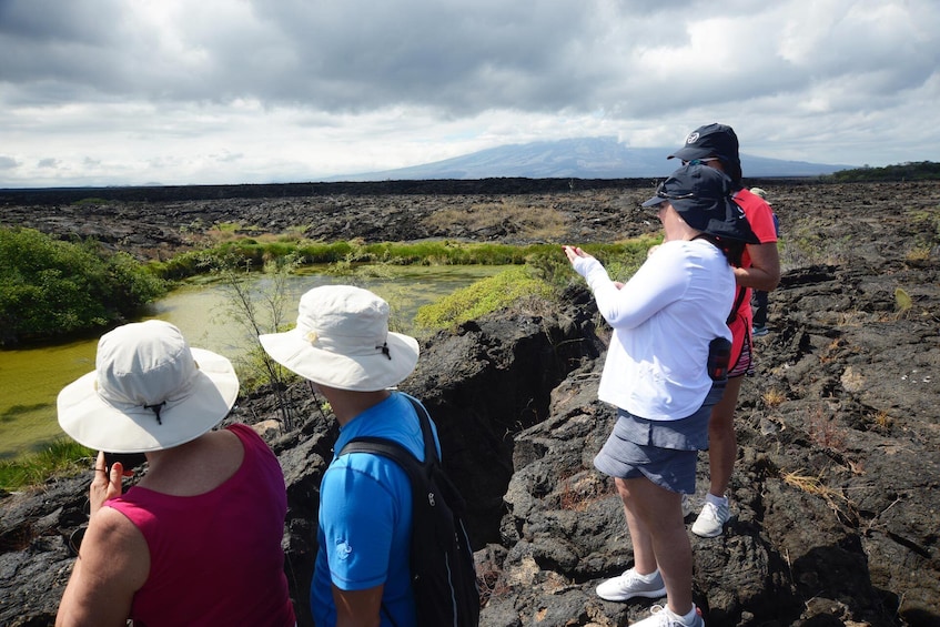 Show item 5 of 7. 6-Day Galapagos Islands plus Bike, Kayak, Hike, Snorkel