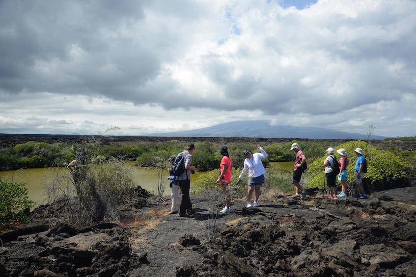 Show item 1 of 7. 6-Day Galapagos Islands plus Bike, Kayak, Hike, Snorkel