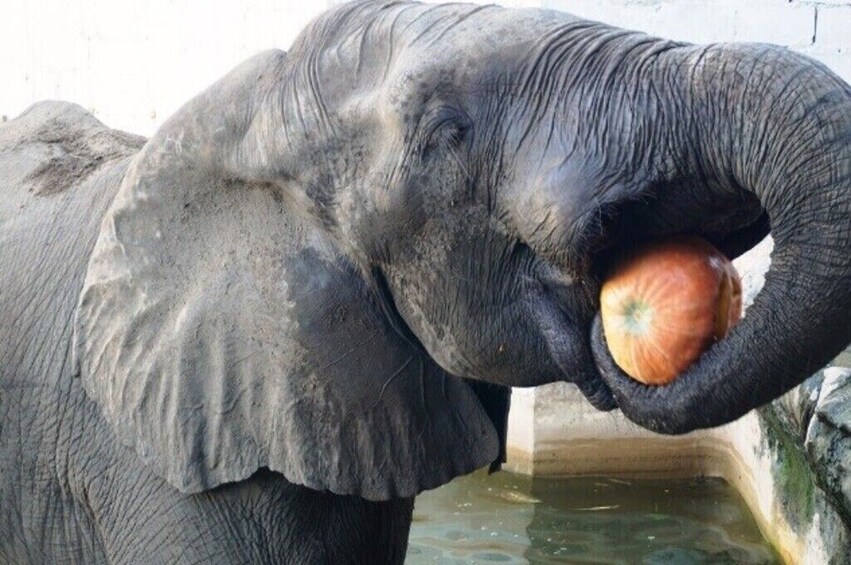 ZOO - BARRANQUILLA