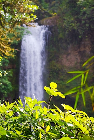 La Paz Waterfall Gardens From San Jose