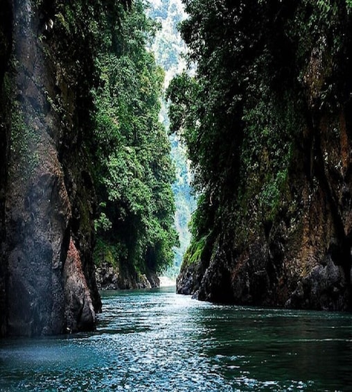 White Water Rafting Pacuare River From San Jose