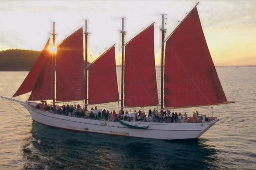 2-hour-tall-ship-cruise-from-bar-harbor