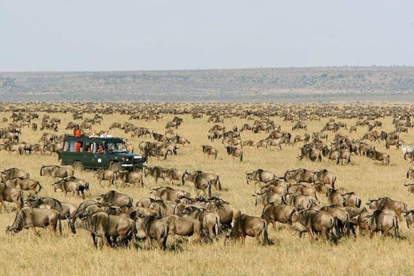 4 Days Wildlife Lodge Safari Tour in Kenya