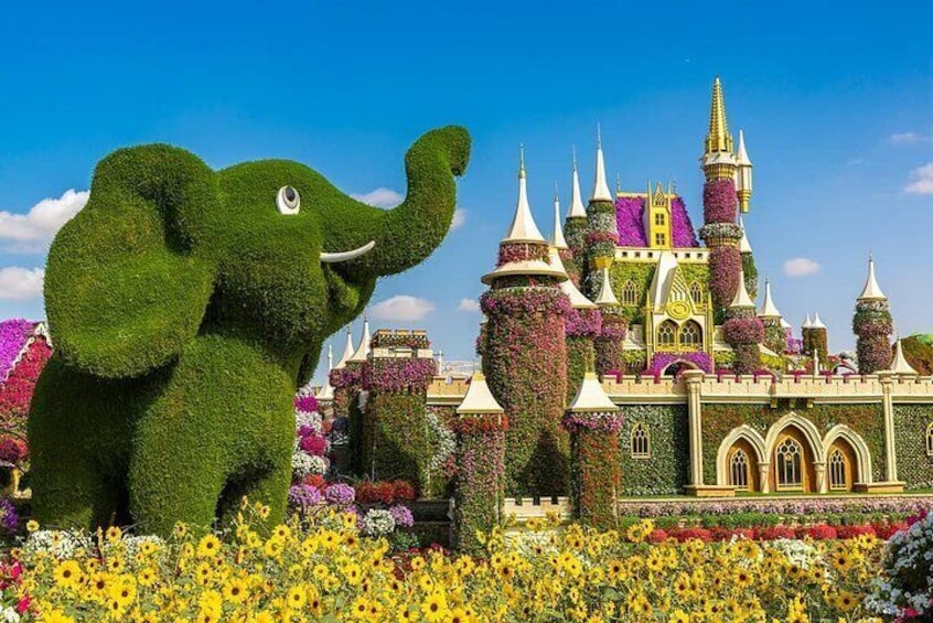 Miracle Garden Ticket Dubai with Shared Transfers